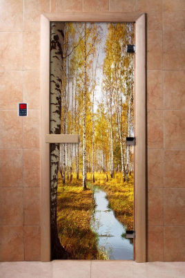 Стеклянные двери DoorWood с фотопечатью А082, коробка ольха